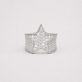VVS Moissanite Iced Star Wide Band Ring